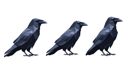 Fototapeta premium Three geometric ravens in low poly art on white background