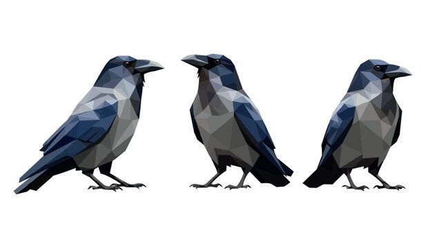 Three geometric crows in low poly style on white background