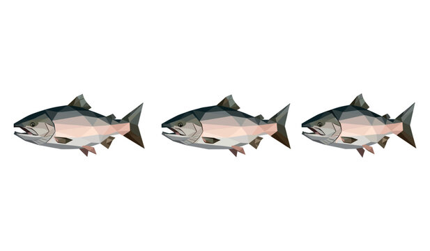 Three low-polygon fish illustrations in side view on white background