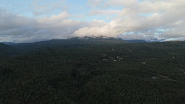 Panoramic Aerial Side View of Forest Valley and Centered Clouded Mountain