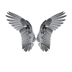 Overhead View of Fresh Mixed Berries in a Clear Glass Bowl