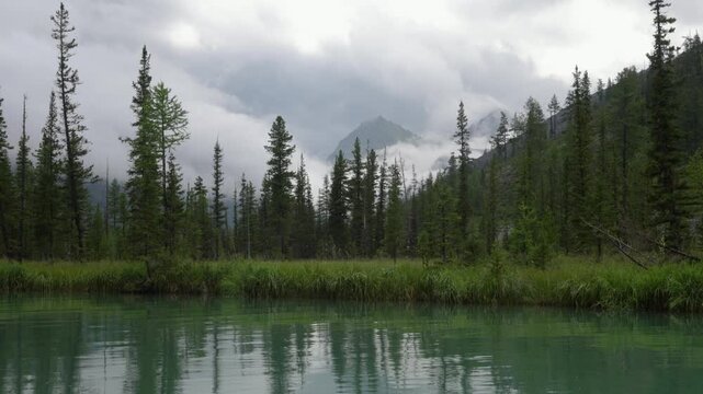 Picturesque mountain valley with forest and snow-capped mountains in the background