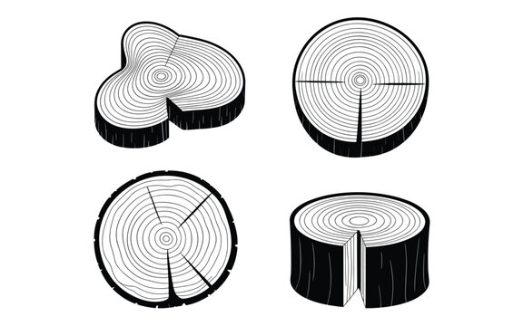 Natural wood cross section set with detailed tree rings and bark textures for rustic designs.