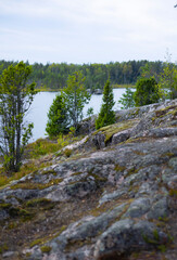 Northern landscape with a lake, forest, pine trees, rocks and moss