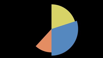Pie chart vector animation on black background. Businnes concept. 4k and 30 fps - Powered by Adobe