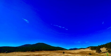 Sunrise to sunset trees and blue skies bring peace and tranquility