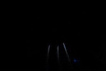 Festive fireworks display in the night sky with artistic film grain and soft focus.