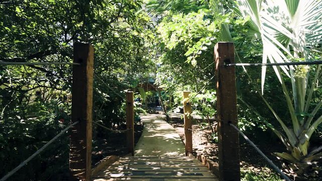 First person perspective walking across a small wooden bridge on a path surrounded by lush, tropical jungle vegetation on a sunny day