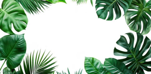 A arrangement of tropical green leaves framing a blank white space. perfect for text or images. ideal for nature-themed designs or eco-friendly projects