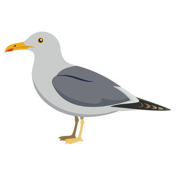 Surreal Polymorphic Seagull Morphing into Liquid Crystal Shards