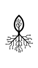 Black and white leaf root system. © fiker