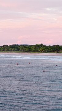 Serene pink sunset over avellanas beach in costa rica. Several surfers are floating on their boards in the calm sea, waiting for the perfect wave