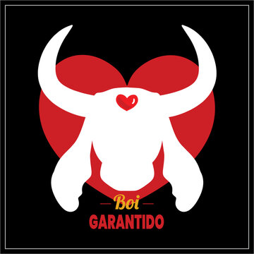 Boi-Bumb&aacute; Parintins Festival Banner | Banner do Festival do Boi-Bumb&aacute; &ndash; Caprichoso e Garantido