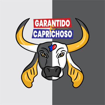 Parintins Boi-Bumb&aacute; Celebration | Banner da celebra&ccedil;&atilde;o do Boi-Bumb&aacute; em Parintins