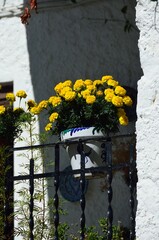 Balc&oacute;n adornado con flores amarillas en Pampaneira, Alpujarra de Granada, Andaluc&iacute;a, Espa&ntilde;a
