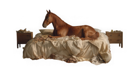 a brown horse is relaxing and lying on a bed with pillows on transparent background