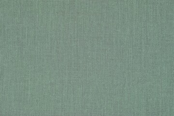 Fototapeta premium Mild Green Texture 