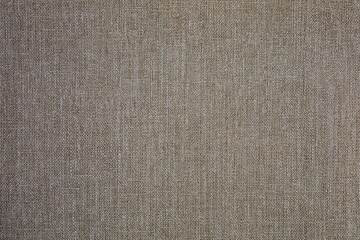 Dry Wooden Wall Texture 