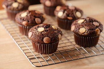 Chocolate muffins with white and milk chocolate chips on wooden table. Selective focus. Home baking concept, recipe.