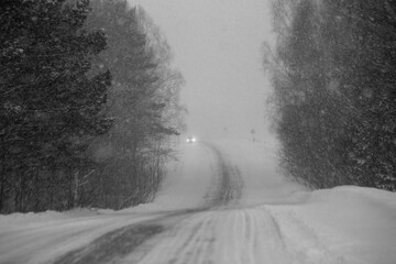 Obraz premium A winter snow-covered road through a coniferous forest during a blizzard.
