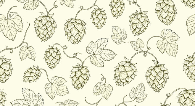 Elegant seamless pattern showcasing hand drawn hop cones and leaves in a vintage botanical style perfect for brewery and beer branding.