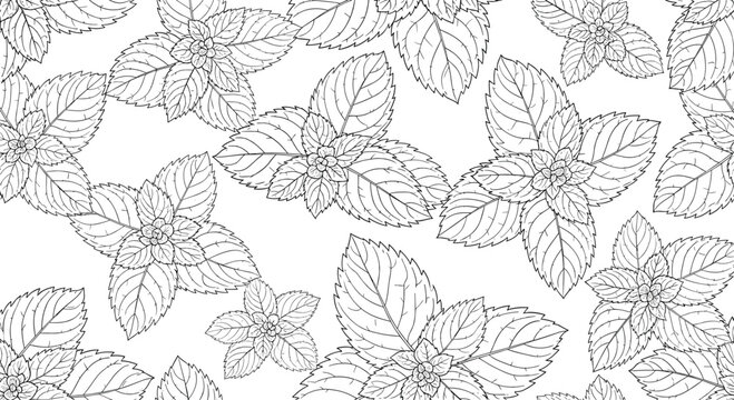 Monochrome seamless pattern background featuring intricate black and white line drawings of fresh mint leaves and botanical sprigs. - Powered by Adobe