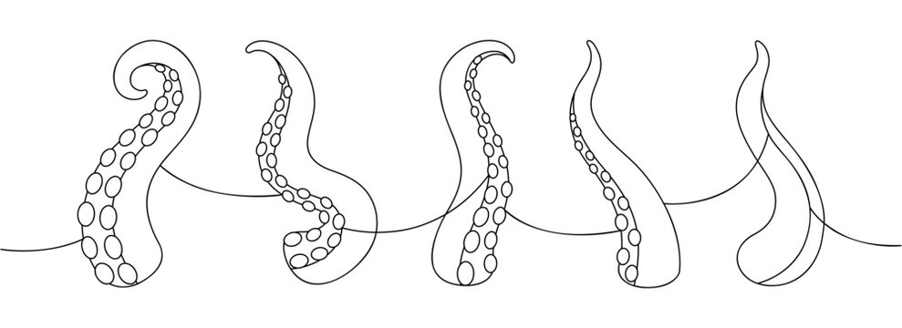 Octopus tentacles line art with suction cups. Minimalist marine animal arms for nautical, tattoo, and sea life design themes
