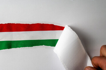 Hungarian Flag Revealed