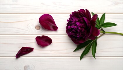 Deep purple flower head with scattered petals and green leaves on a light wood grain surface. Overhead view