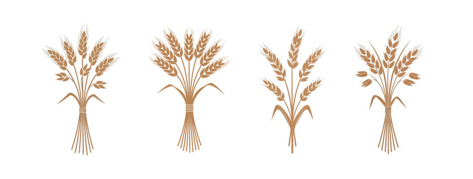 Four stylized illustrations of golden wheat bundles, representing agriculture, harvest, and natural food sources.