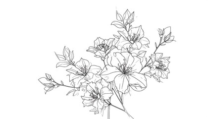 Delicate black and white line art of blooming flowers, with detailed petals and leaves