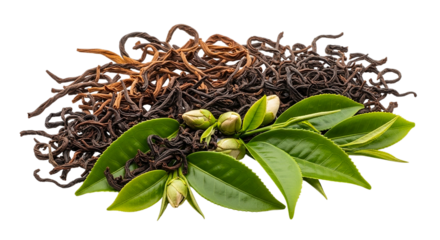 A pile of dried vanilla beans with green leaves and buds on a black background