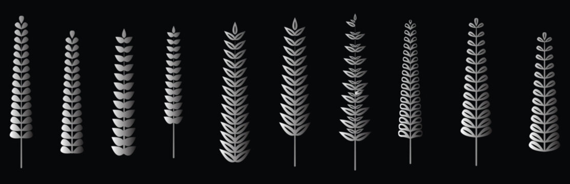 Various elegant silver gradient botanical elements and wheat ears vector illustration