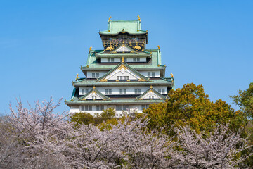 Osaka Castle Keep Tower, a famous historical landmark, viewed through a frame of beautiful blooming cherry blossoms in spring. Osaka, Japan.