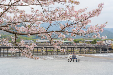 Togetsukyo Bridge over the Katsura River with cherry blossom and a riverside bench in the Nakanoshima Area of Arashiyama Park. Kyoto, Japan.