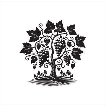 A black and white illustration of a grapevine tree with lush leaves and clusters of grapes on a clean white background, featuring a stylized logo-style design.
