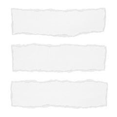 Torn paper strips isolated on transparent background