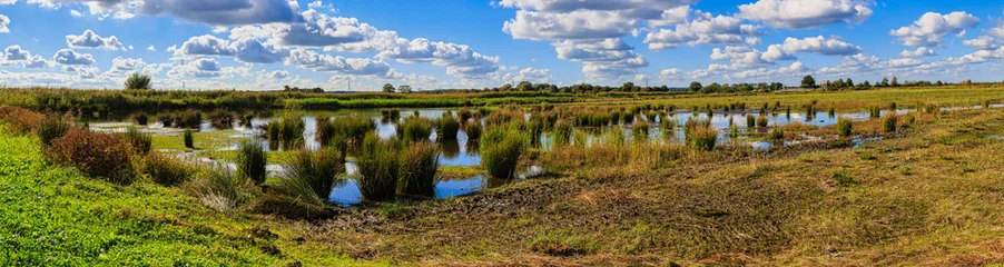 Fototapete Rund Schlafzimmer autumn landscape with trees and water  © rijkkaa