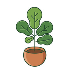 Plant in ceramic pot isolated on white background. Potted ficus plant features large green leaves. Minimalist flat vector design for home decor. Modern indoor ficus illustration icon.