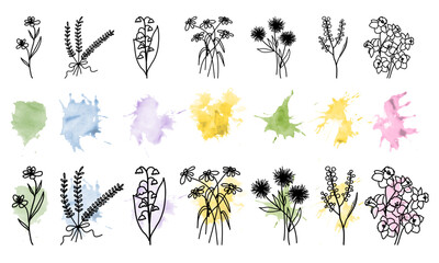 Hand drawn floral line art set with watercolor splashes. Minimal black ink flowers and herbs combined with soft pastel paint stains. Ideal for invitations, posters, branding, stationery and wall decor