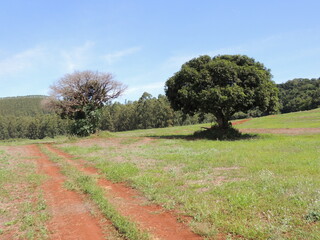 Terras rurais - Jandaia do Sul - Paran&aacute;