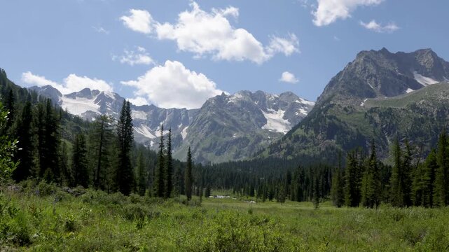 Picturesque mountain valley with blooming alpine meadows, forest and snow-capped mountains in the background