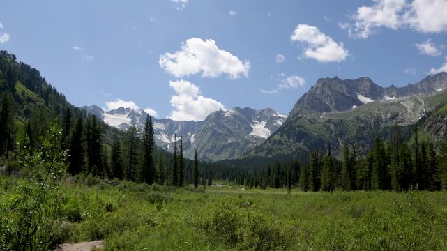Picturesque mountain valley with blooming alpine meadows, forest and snow-capped mountains in the background