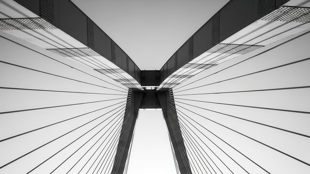 Modern bridge with cable support