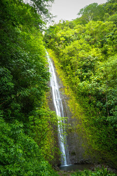 Oahu, Hawaii, Manoa Falls in the winter of 2025