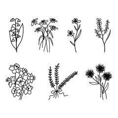 Hand drawn floral line art set with minimal black ink flowers and herbs. Simple botanical elements in outline style, perfect for invitations, branding, prints, stationery and modern decorative design.