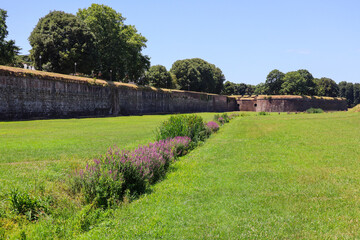Walls of Lucca