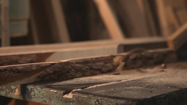 Unprocessed Tree Bark Transported On Saw Table Amidst Weathered And Dusty Workshop Surroundings. Media