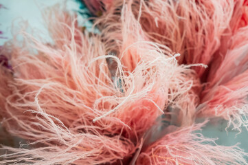Colorful decorative feathers at a decor store. 