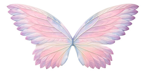 Beautiful Monarch and Blue Morpho butterfly illustration featuring delicate wings and nature-inspired design elements isolated on a white background for spring insect art